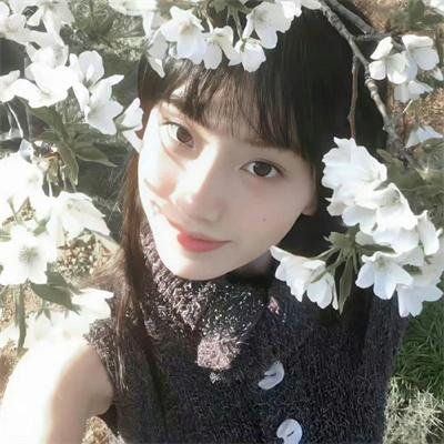 全金属狂潮第二季